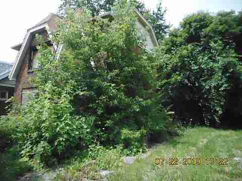 10410 Crocuslawn (4)_m.jpg